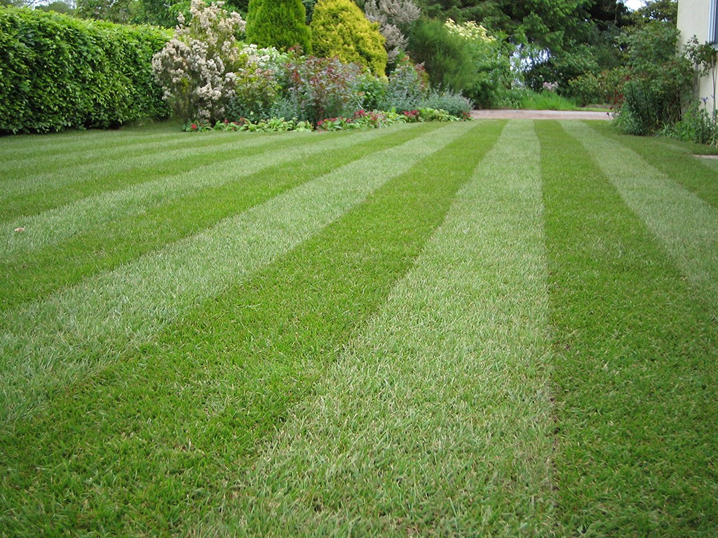 Why Choose Very Fast FM for Landscaping Services?